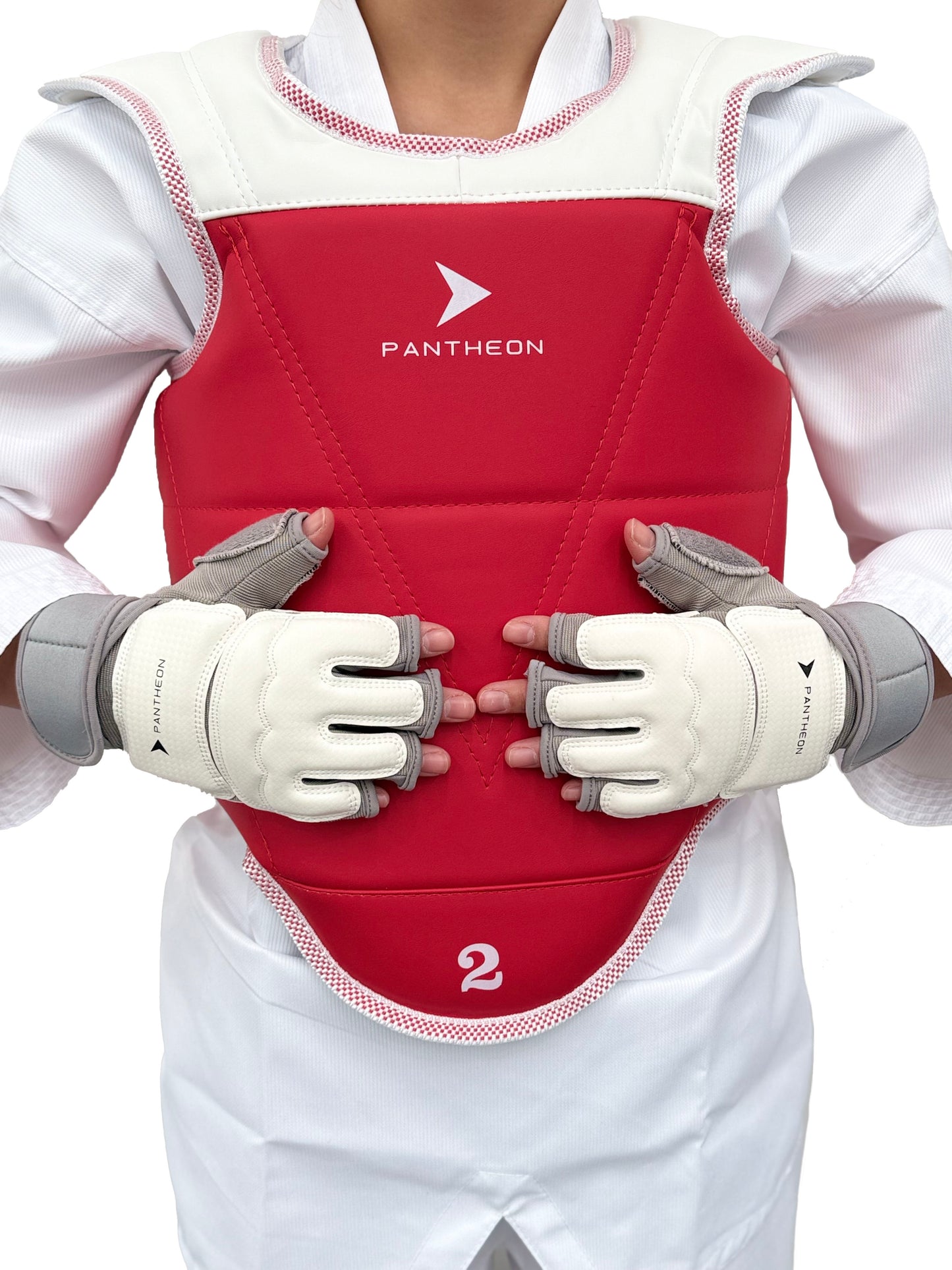 Taekwondo Gloves