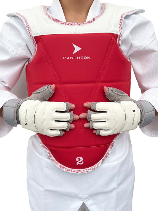 Taekwondo Gloves